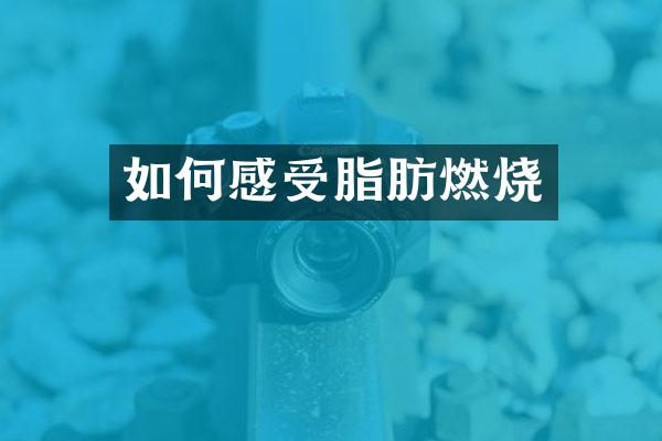 如何感受脂肪燃烧