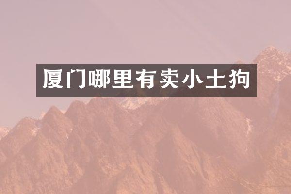 厦门哪里有卖小土狗