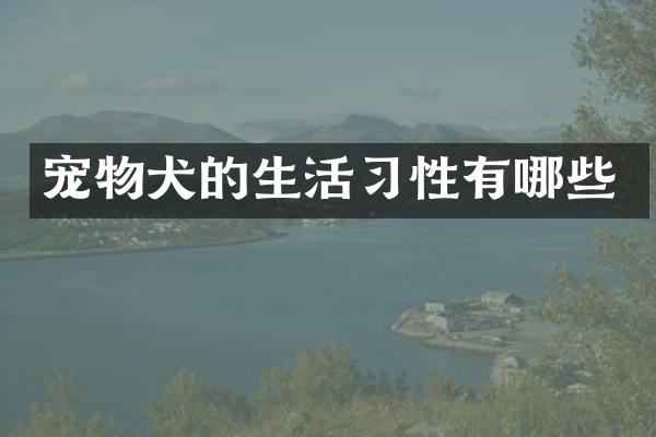 宠物犬的生活习性有哪些