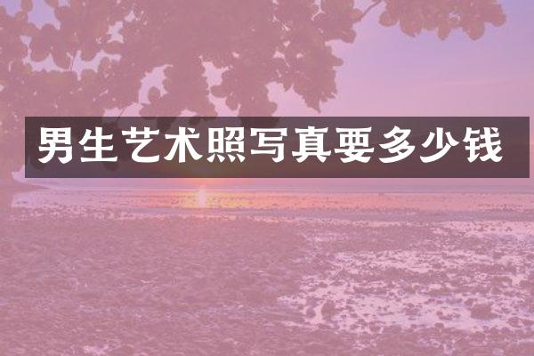 男生艺术照写真要多少钱