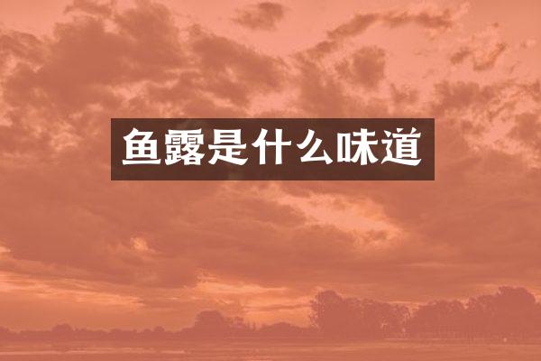 鱼露是什么味道