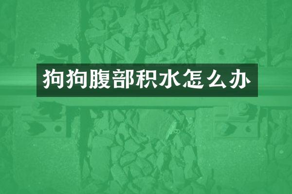 狗狗腹部积水怎么办