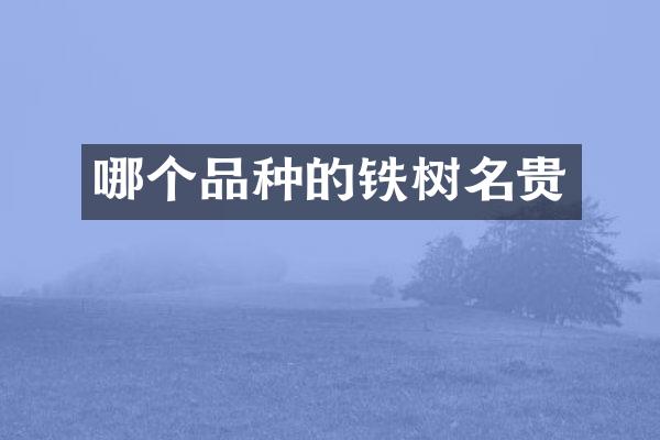 哪个品种的铁树名贵