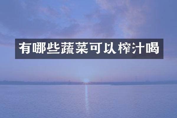 有哪些蔬菜可以榨汁喝