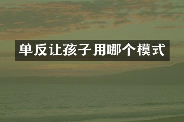 单反让孩子用哪个模式