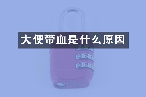 大便带血是什么原因