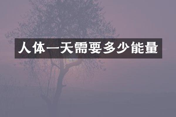 人体一天需要多少能量