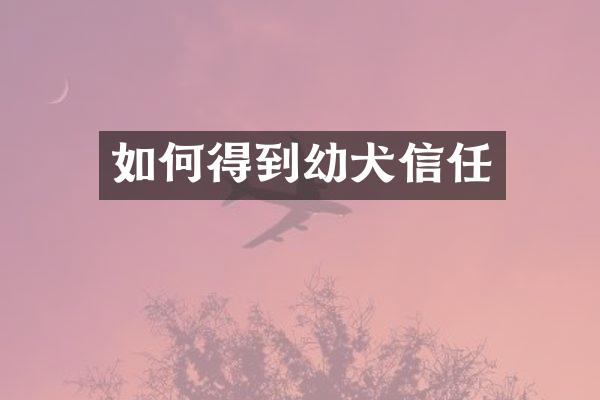 如何得到幼犬信任