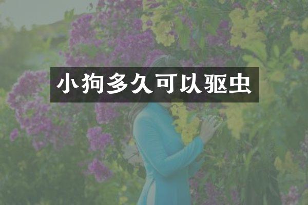 小狗多久可以驱虫