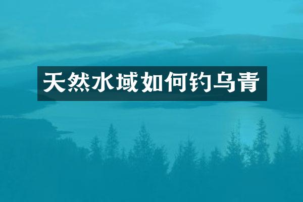 天然水域如何钓乌青