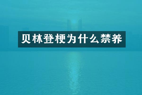 贝林登梗为什么禁养