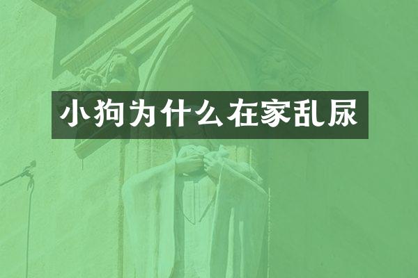 小狗为什么在家乱尿