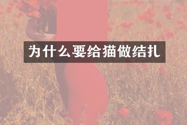 为什么要给猫做结扎