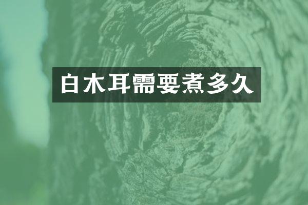 白木耳需要煮多久