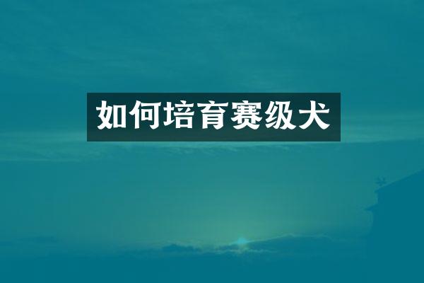 如何培育赛级犬