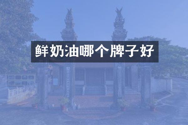 鲜奶油哪个牌子好