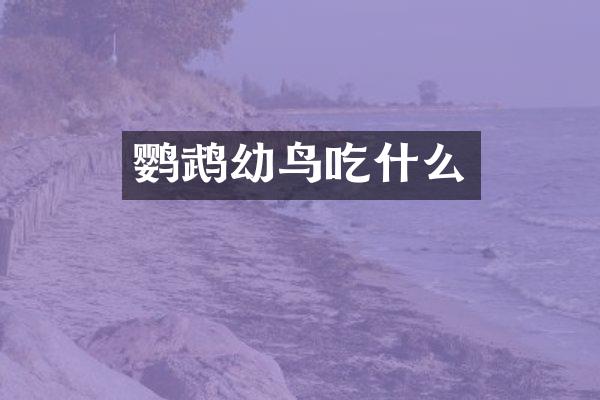 鹦鹉幼鸟吃什么