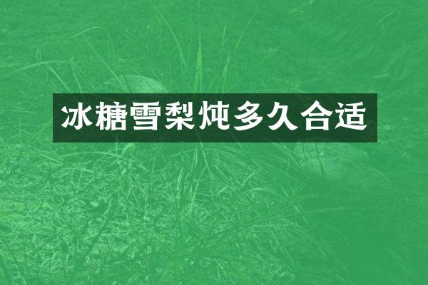 冰糖雪梨炖多久合适