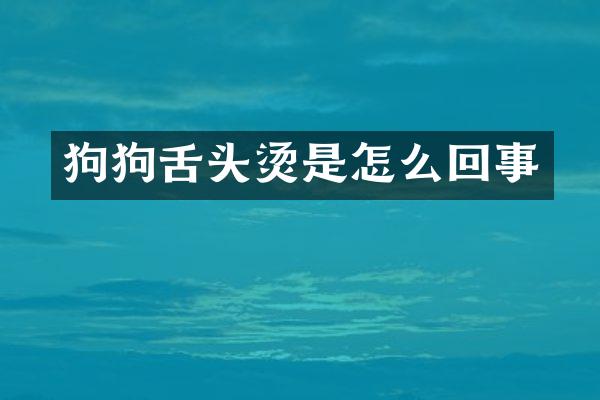 狗狗舌头烫是怎么回事