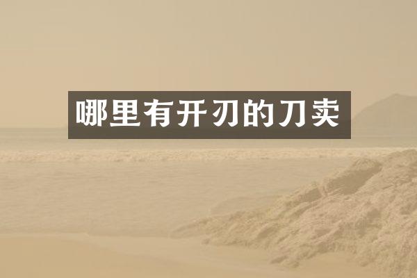 哪里有开刃的刀卖