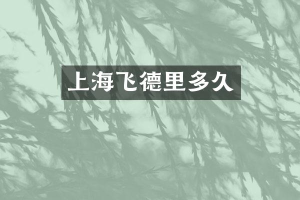 上海飞德里多久