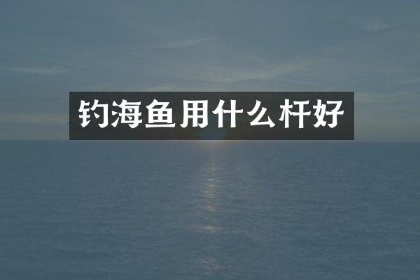 钓海鱼用什么杆好