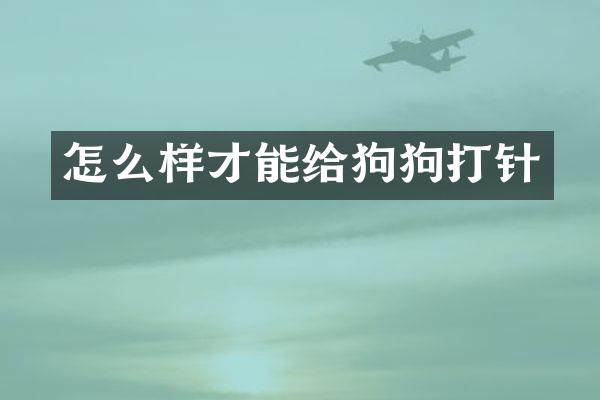 怎么样才能给狗狗打针