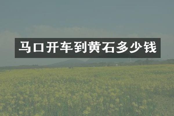 马口开车到黄石多少钱