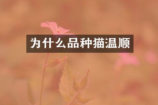 为什么品种猫温顺
