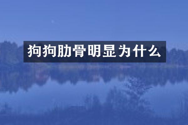 狗狗肋骨明显为什么