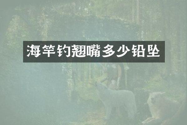 海竿钓翘嘴多少铅坠