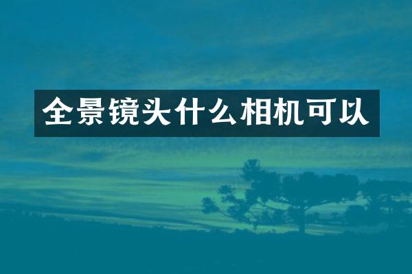 全景镜头什么相机可以