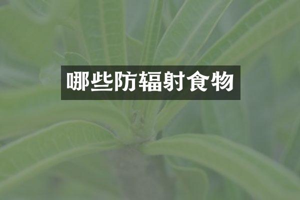 哪些防辐射食物