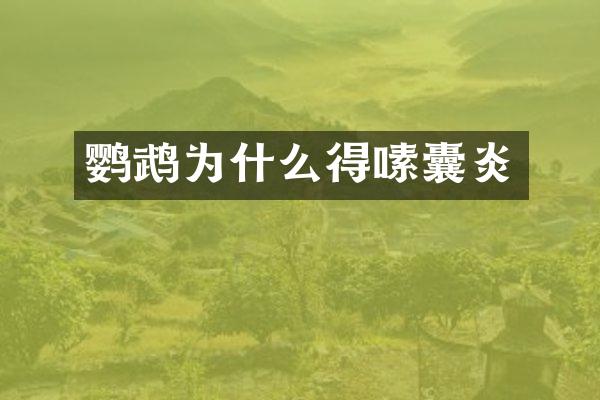 鹦鹉为什么得嗉囊炎