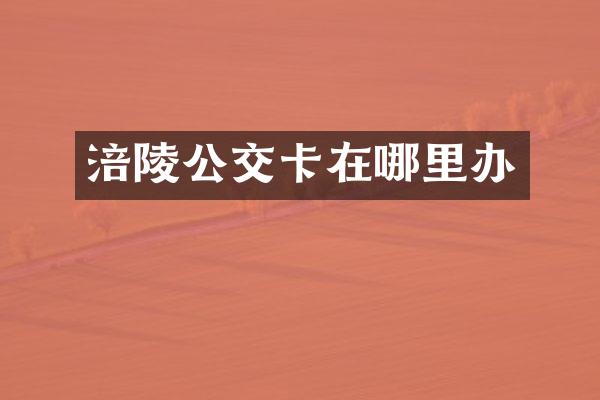 涪陵公交卡在哪里办