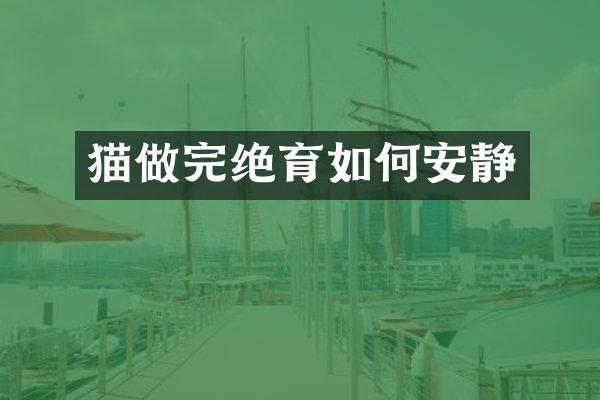 猫做完绝育如何安静