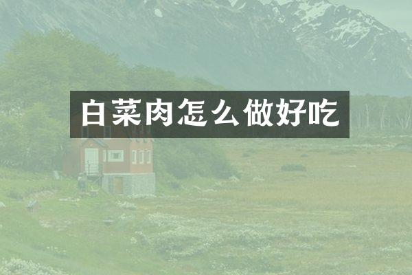 白菜肉怎么做好吃
