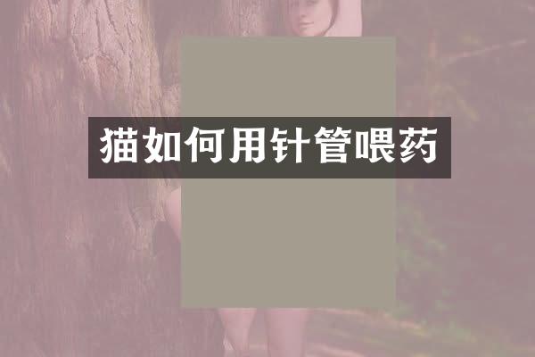 猫如何用针管喂药