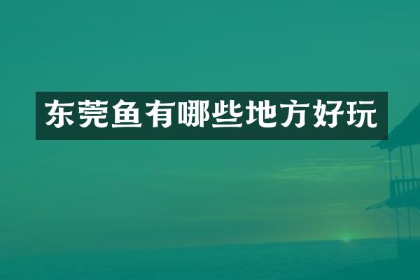 东莞鱼有哪些地方好玩