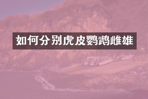 如何分别虎皮鹦鹉雌雄