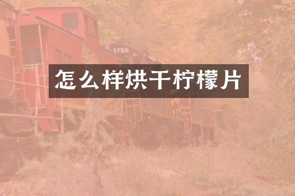 怎么样烘干柠檬片