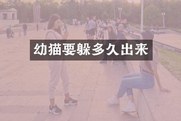 幼猫要躲多久出来