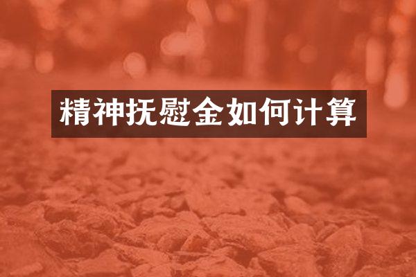 精神抚慰金如何计算