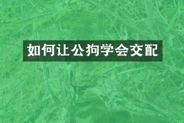 如何让公狗学会交配