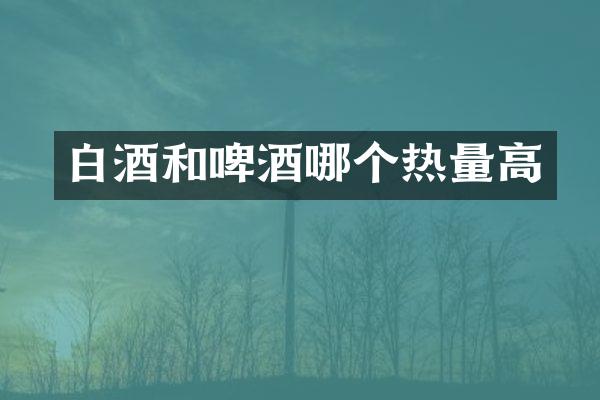 白酒和啤酒哪个热量高