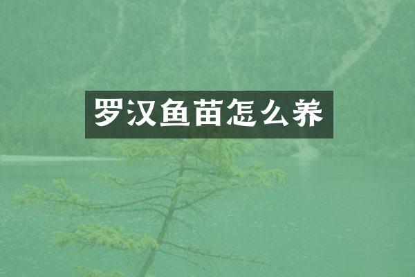 罗汉鱼苗怎么养