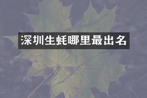 深圳生蚝哪里最出名