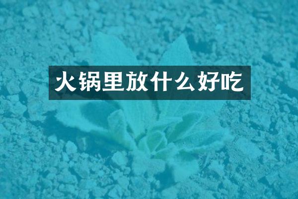 火锅里放什么好吃