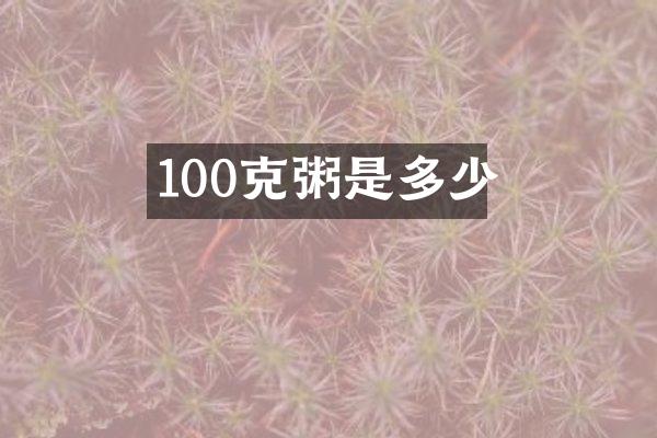 100克粥是多少