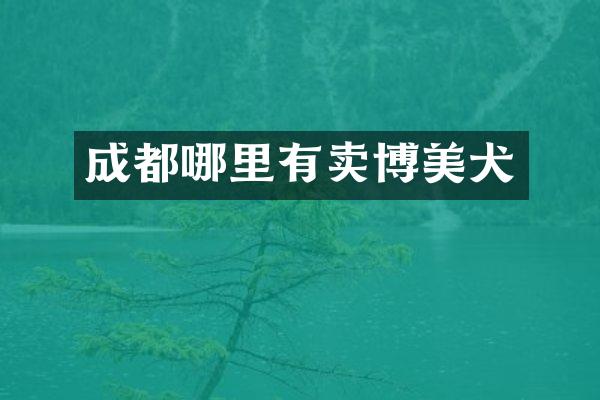 成都哪里有卖博美犬